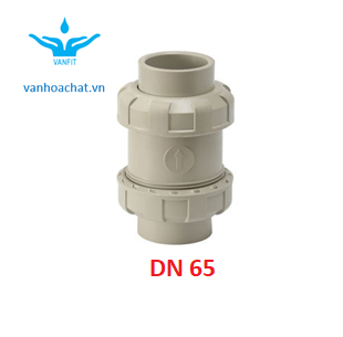 Van 1 chiều nhựa DN65