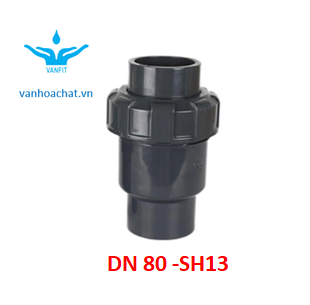 Van 1 chiều rắc Co DN80
