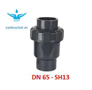 Van 1 chiều rắc co DN 65