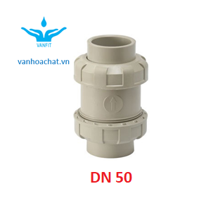Van 1 chiều rắc co DN50