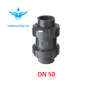 Van 1 chiều rắc co DN50