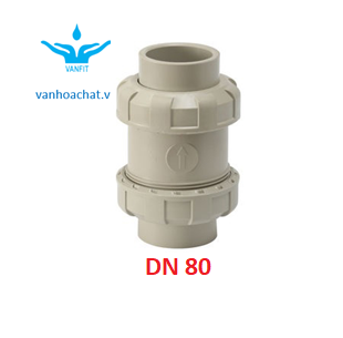 Van 1 chiều rắc co đôi DN80