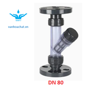 Y lọc DN80