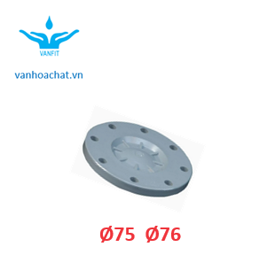 Mặt bích liền 75