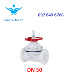 Van màng nhựa pvdf DN50