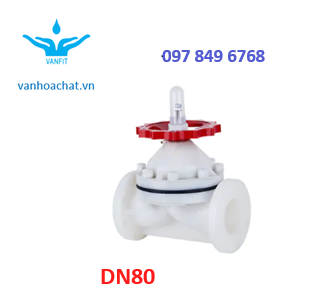 Van màng nhựa pvdf DN80