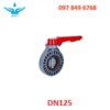 Van bướm DN125