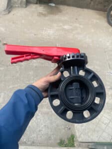 Van bướm mã VF3
