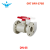 Van Bi Mặt Bích PPH DN65