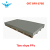 tấm nhựa PPS
