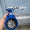 Van bướm gang tay gạt đĩa inox