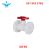 Van bi nhựa mặt bích PVDF DN65