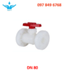 Van bi nhựa mặt bích PVDF DN65