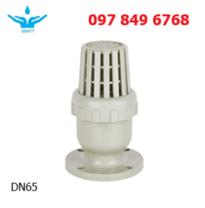 Rọ_bơm_PPH_DN65