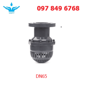 Rọ Bơm PVC-U Gắn Mặt Bích DN65 (phi 75)