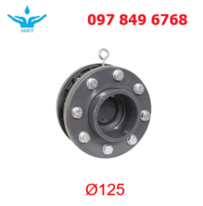 Van Một Chiều Cánh Bướm PVC 125 (DN125)