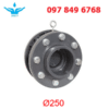 Van_một_chiều_mặt_bích-250